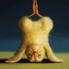 mjdionio10