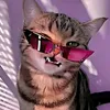 cat_demon66