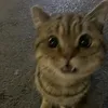 hnhnhnhnhnhnhn7