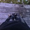 muhammad_saleh33
