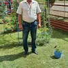 user29224031718675