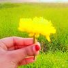 gm.nahe