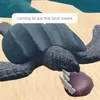 driedfish123