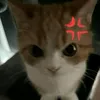 vimperlg