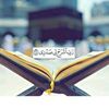 _____mohamed________