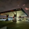 petron_sg.udang