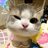 ngothanhha10
