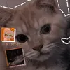 _.mistycatycath._