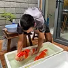 jav.koi