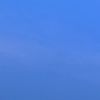 reflexssr1
