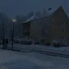 bardha_bejta