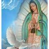 mariahernandez6354