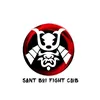 sbfightclub