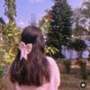s_ara462