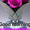 rosess671