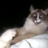 🌠🌠твоя личная Вселенная🌠🌠