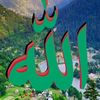 ❤️ALLAH Aalmin❤️