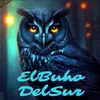 elbuhodelsur
