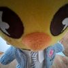 kise_35