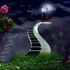 dymas702bz2c