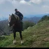 licamosniag