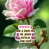 alcione.abreu2