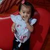 dalilahernandez3736