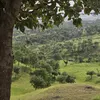 ahmedgezire1