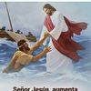 josefernandez9340