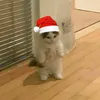 samuelzin4444