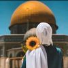 gehadmoawad2