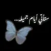 lovemz155