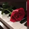 rehab_alfapy33