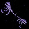 illidan092