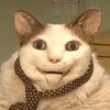 jameslikesgrape_