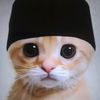 putrawadimor_1