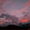 alfiknisa16