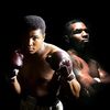boxingchampion5