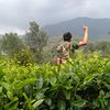tokoedi30