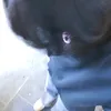 miek_tvtm