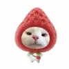 chaucute230