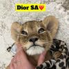 dior69dior