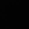 9_tigr_9