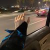 marwaalagory898