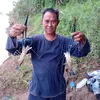 udang_mania000