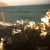 dtah_12_08