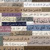shimaa_3330