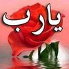 abobadr412