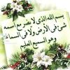 fat_emaa1