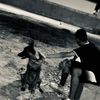 _wifa_808_